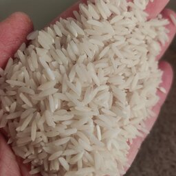 برنج هاشمی درجه1