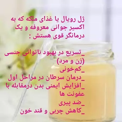 ژل رویال ایرانی 10 گرمی