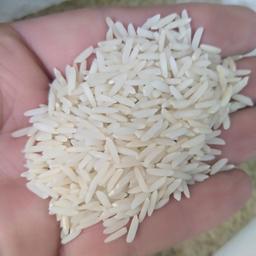 برنج هاشمی امسال 1401