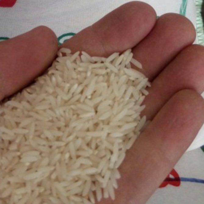 برنج هاشمی درجه یک کیسه 10 کیلویی