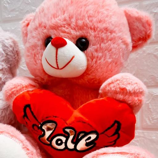 عروسک خرس قلب به دست 35 با ارسال پستی رایگان