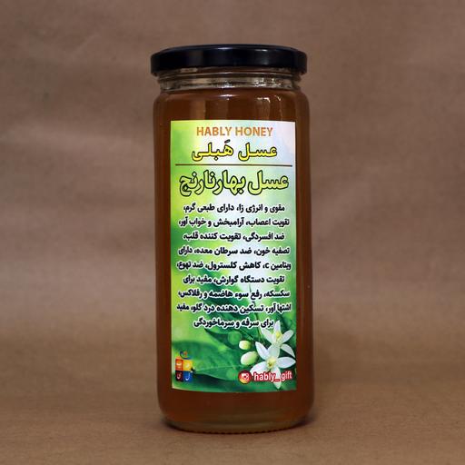 عسل طبیعی بهارنارنج 600 گرمی برند هَبلی