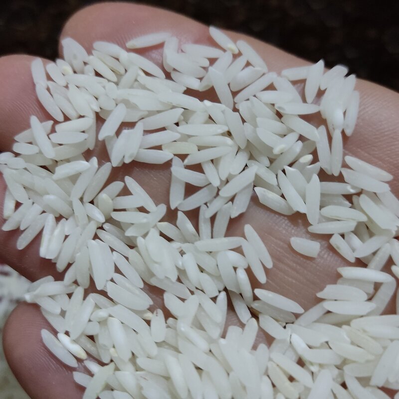 برنج طارم هاشمی  2 کیلویی 