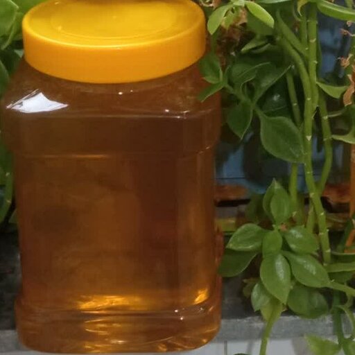 عسل چند گیاه طبیعی 2کیلویی  ( مستقیم از زنبوردار )