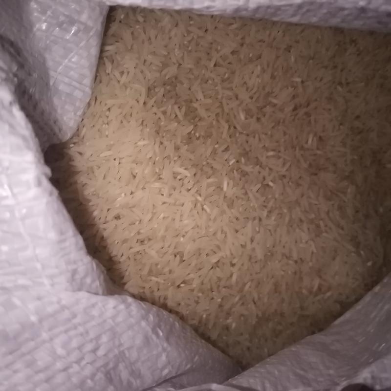 برنج فجر معطر و دانه بلند با ری عالی مقدار کاملا محدود به عنوان نمونه 1000گرمی