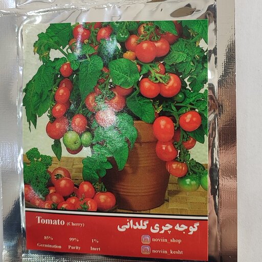 بذر گوجه چری گلدانی