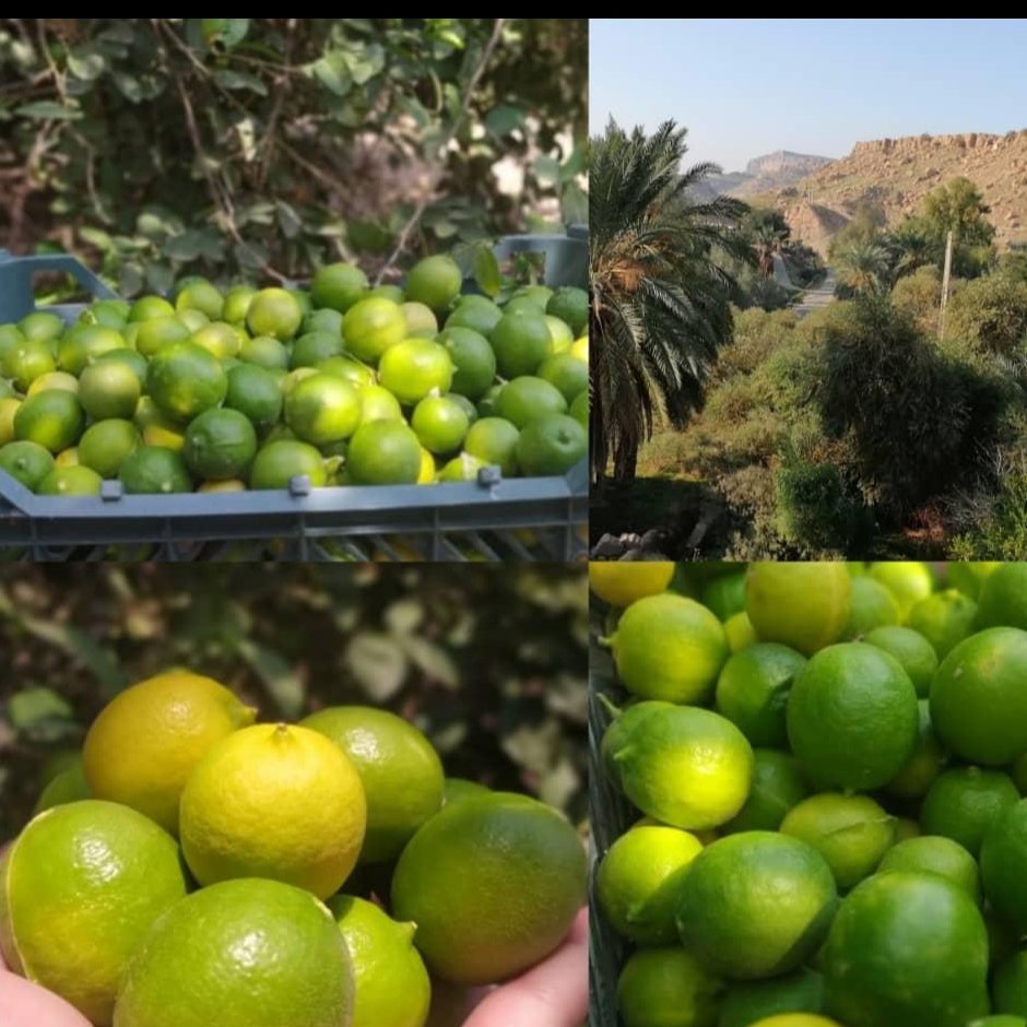ابلیمو صددرصد طبیعی و دستی