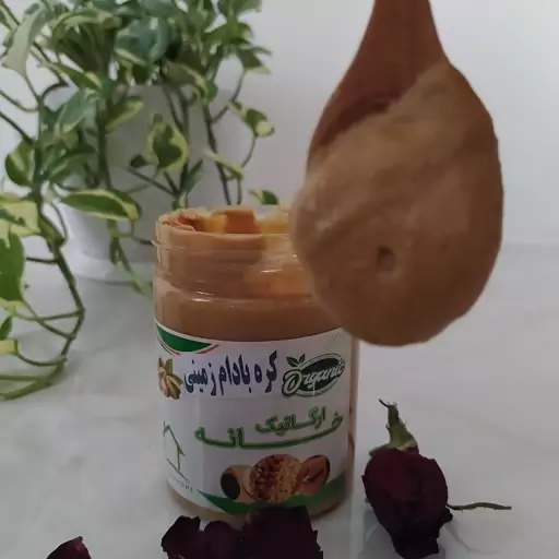 کره بادام زمینی طبیعی وارگانیک (300گرم)