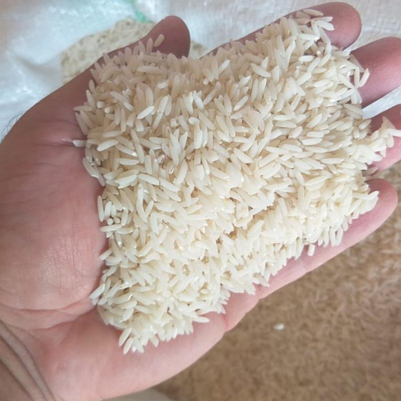 برنج هاشمی معطر مجلسی  محصول تازه امساله