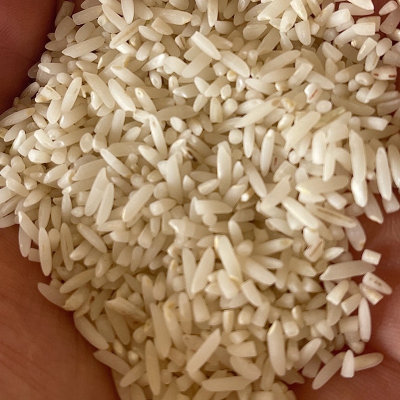 برنج سرلاشه درشت طارم  (10کیلوگرم)ارسال رایگان