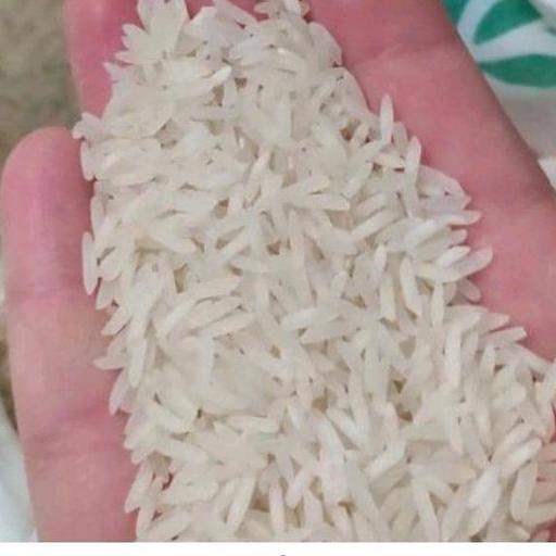 برنج ایرانی صدری هاشمی