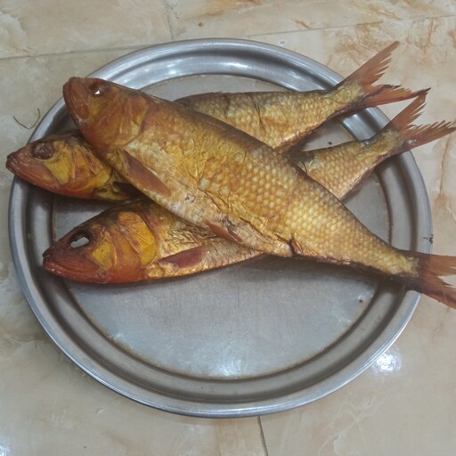 ماهی دودی روغنی (زالون) وزن حدودا 200 گرم