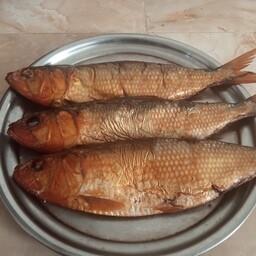 ماهی دودی روغنی (زالون) وزن حدودا 200 گرم