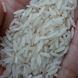 برنج هاشمی گیلان (10کیلویی)