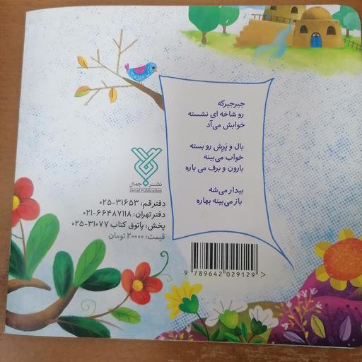 کتاب خواب بهاری نوشته خاتون حسنی نشر جمال