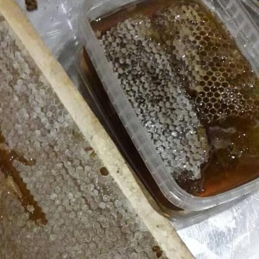 عسل طبیعی 1 کیلویی باموم طارم زنجان.100٪ درصدطبیعی و کاملا ارگانیک.مستقیم از زنبور دار.با خواص منحصربه فرد