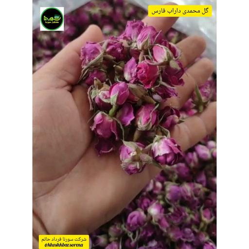 غنچه گل محمدی درجه یک (داراب فارس) در بسته بندی 50 گرمی
