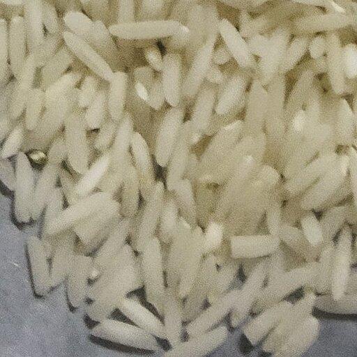 برنج شیرودی ممتاز شمال (10کیلویی)