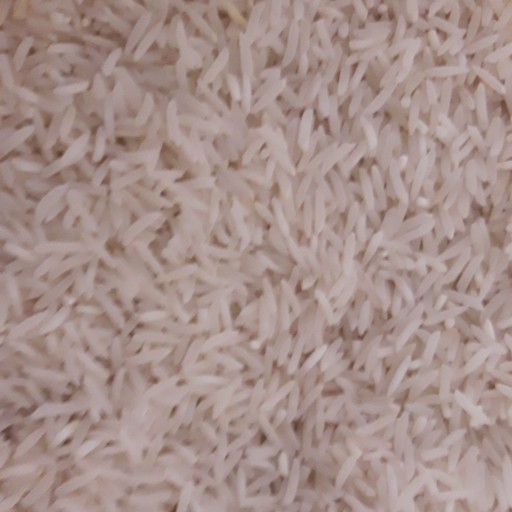 برنج طارم شمشیری با ری فوق العاده مجلسی