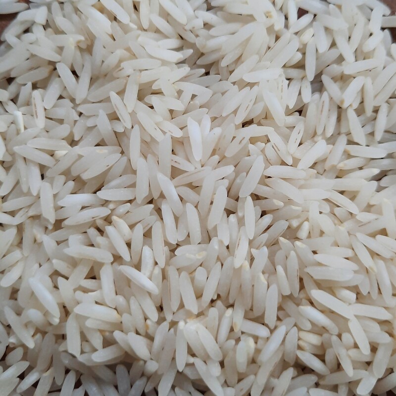 برنج شیرودی با کیفیت عالی و قیمت مناسب (10کیلویی)