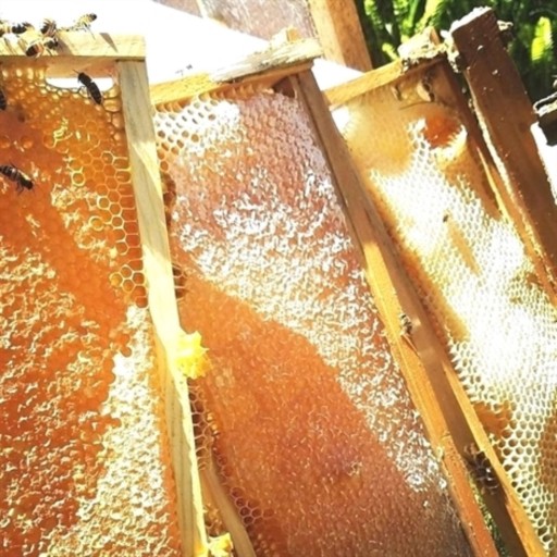 عسل 40 گیاه دیزگاه همراه با موم بسته 950 گرمی  بسیار با کیفیت و عالی