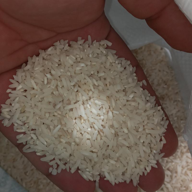 برنج سرلاشه طارم هاشمی فریدونکنار اعلا 10 کیلویی کهنه و مناسب مصرف خانگی