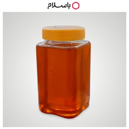 بسته 3 عددی عسل چهل گیاه 7٪ تخفیف بیشر ساکاروز2  خام طب اسلامی سیمرغ (3 کیلو خالص) کمی رس بسته