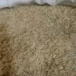 برنج کامفیروز شیراز 