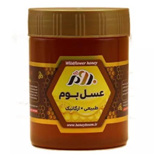 عسل رازیانه 500 گرمی