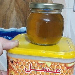عسل طبیعی سبلان به همراه 350 گرم شهد خالص