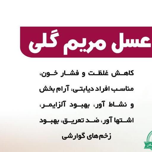 عسل مریم گلی500 گرمی