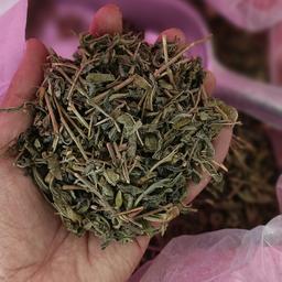 چای سبز قلم بهاره 1402 (900گرمی)