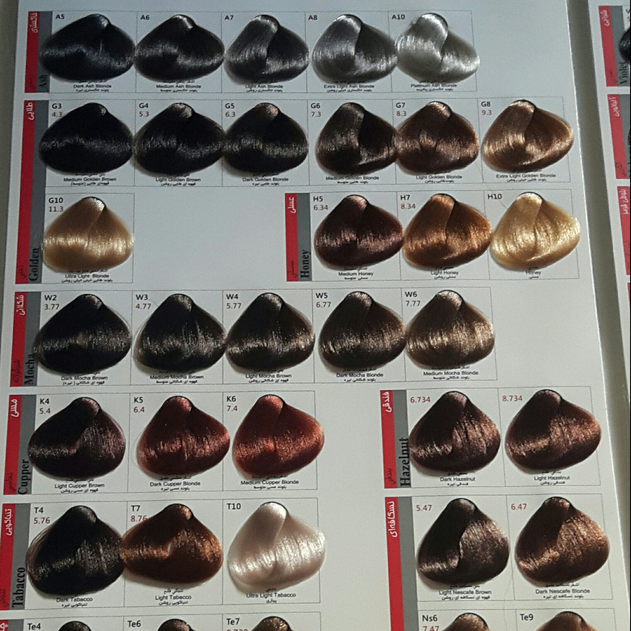 رنگ مو بیس کالر همه رنگ ها انتخابی آسان