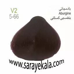 رنگ مو بیس کالر V2 بادمجانی