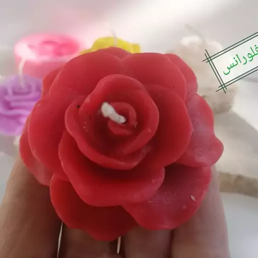 قالب سیلیکونی گل رز رونده
انداره ارتفاع 2ونیم
قطر 6
پارافین مصرفی 22گرم
