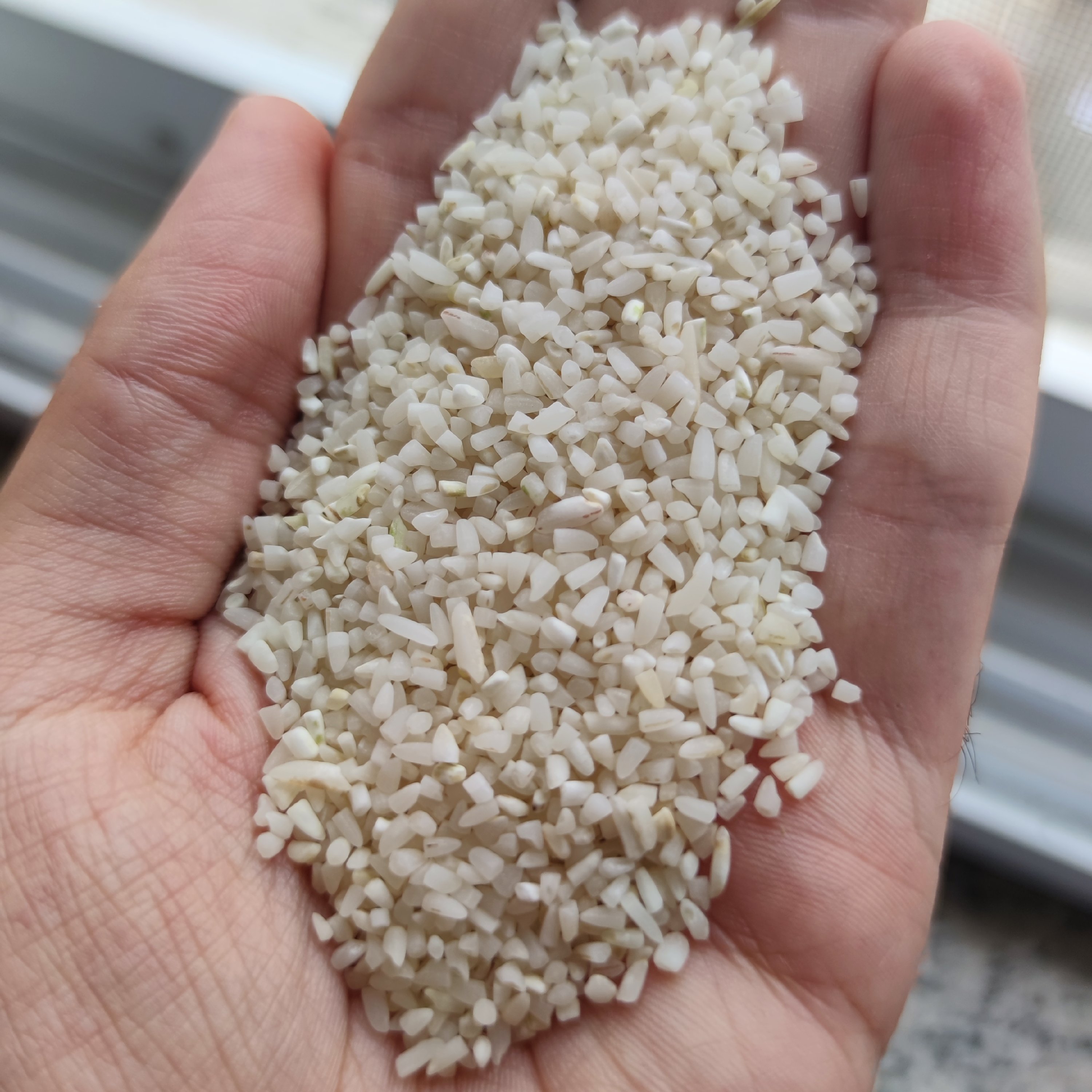 برنج نیم دانه هاشمی گیلان نمونه 1 کیلویی