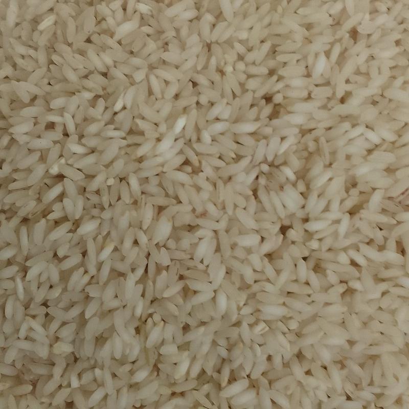برنج عنبربو (10000 گرم)