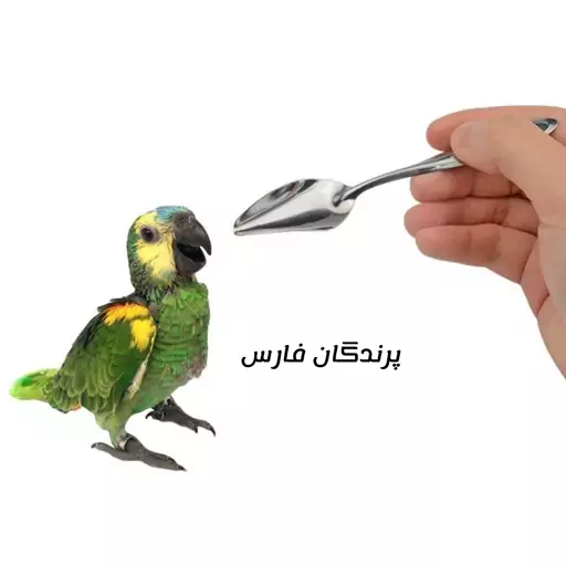 قاشق سرلاک دهی پرنده جنس استیل