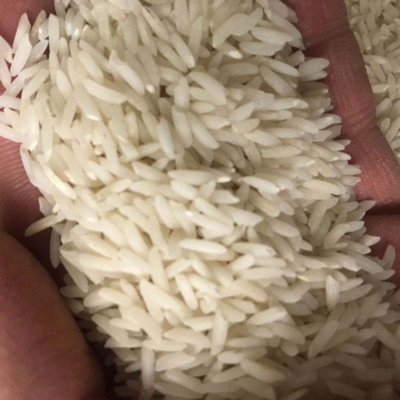 برنج هاشمی (فوق اعلاء) آستانه اشرفیه 5 کیلو 