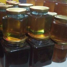عسل شهد مرغوب و اعلا و طبیعی از بهترین زنبورداران نمونه خلخال عسل کوهستان 
