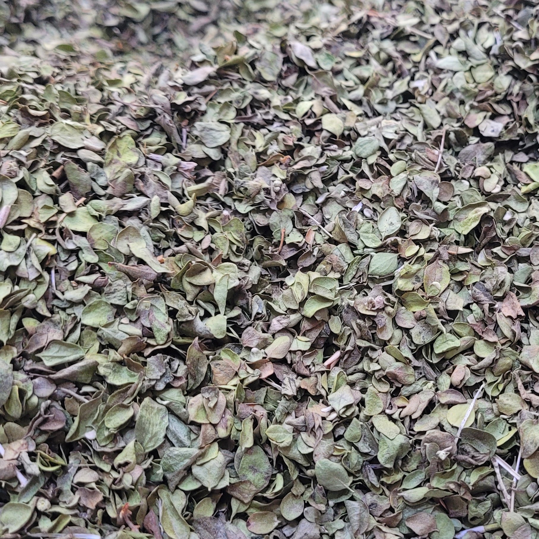 آویشن شیرازی (آویشن برگ پهن) عمده