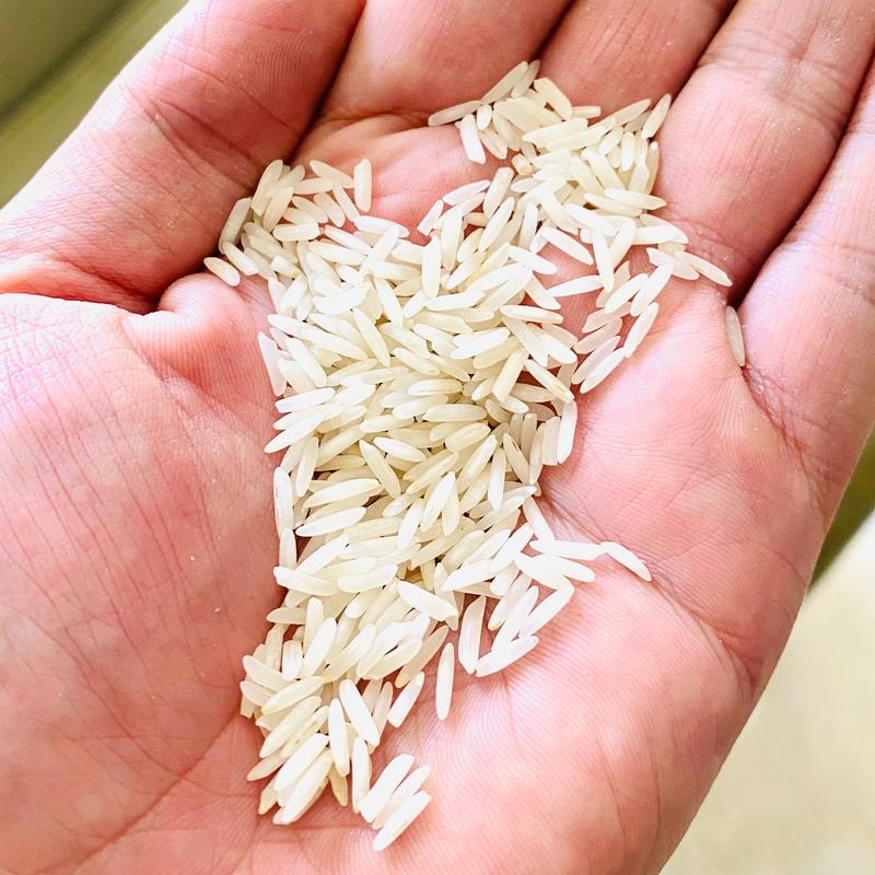 برنج طارم محلی درجه یک فریدونکنار 