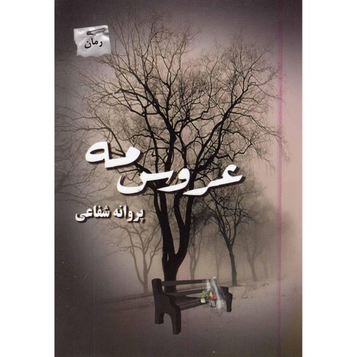 توضیحات تصویر