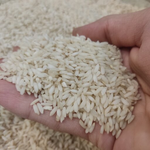برنج عنبربو  خوشپخت و معطر  (10 کیلویی)