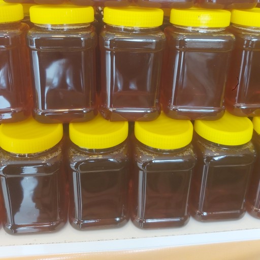 1 کیلو عسل طبیعی چهل گیاه طبیعی سبلان (1 کیلو گرم)