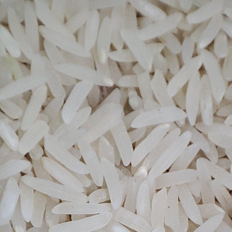 برنج فجر سورنی گرگان