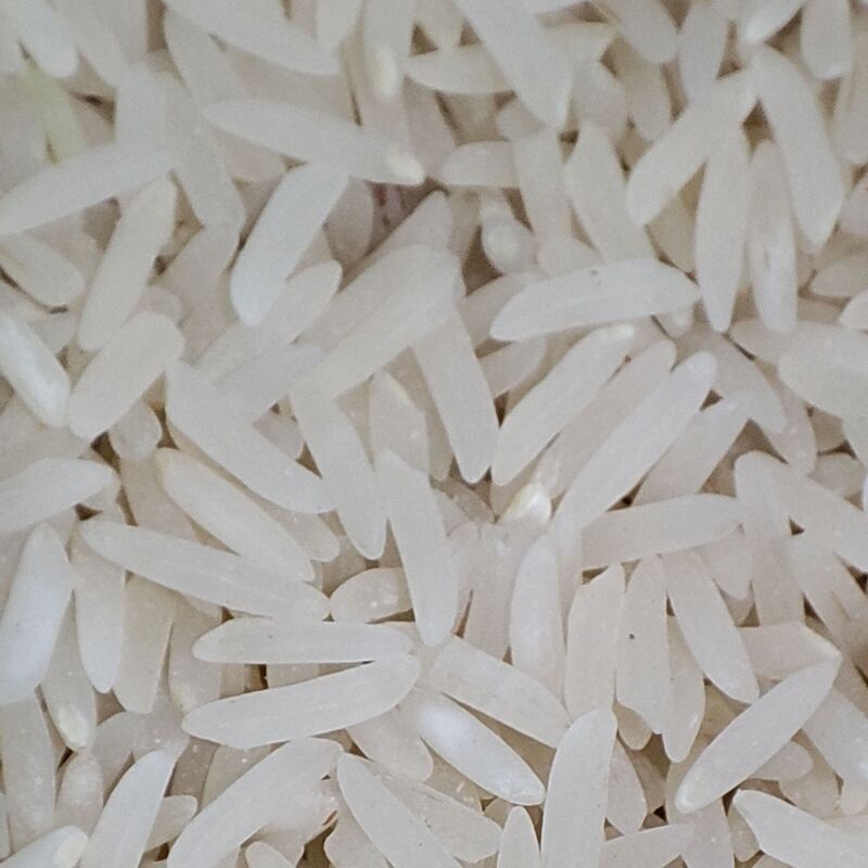 برنج فجر زرینگل تضمینی
