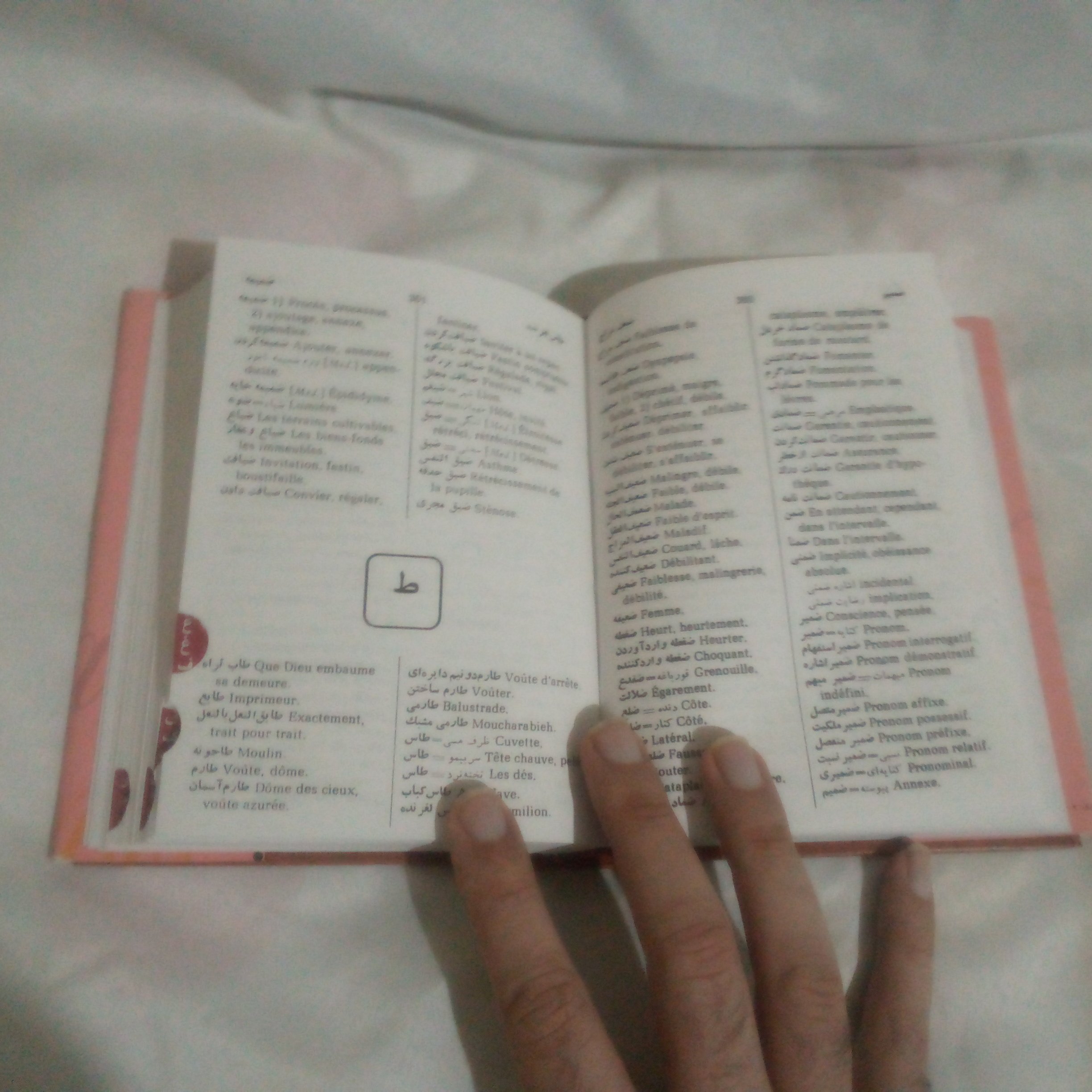 کتاب فرهنگ فارسی فرانسه نوشته ب.بروخیم