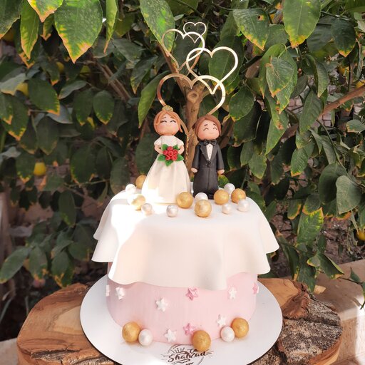 کیک یخچال عروس ملوس و زیبا و جذاب 