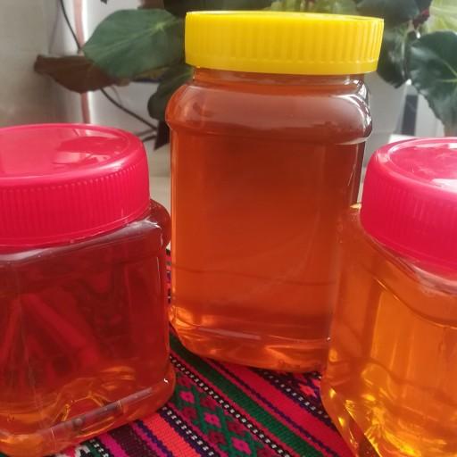 عسل شهد محیا (یک کیلو گرمی)